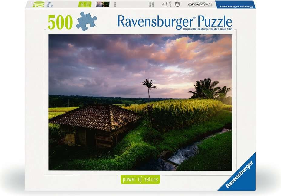 Rice Fields in Bali